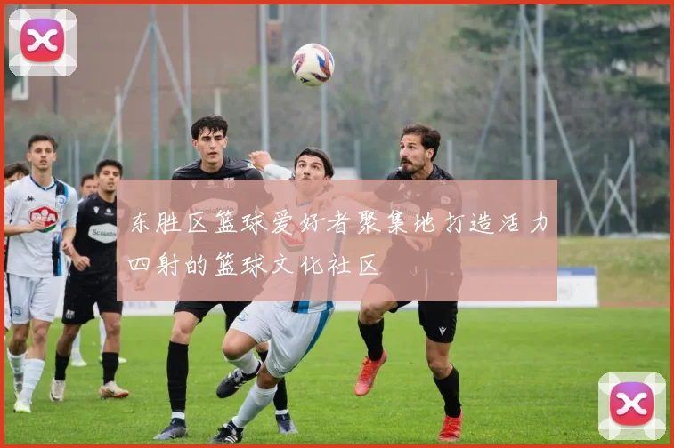 东胜区篮球爱好者聚集地打造活力四射的篮球文化社区