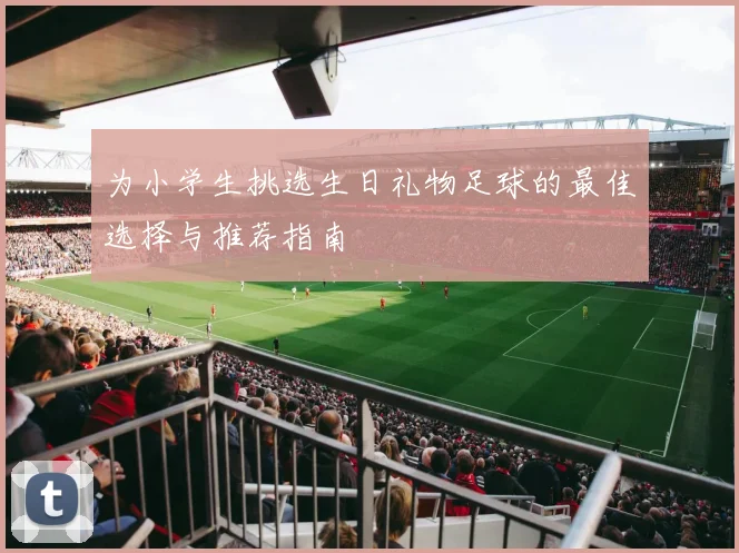 为小学生挑选生日礼物足球的最佳选择与推荐指南